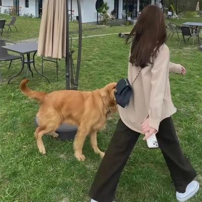 疯狂的麦穗儿
